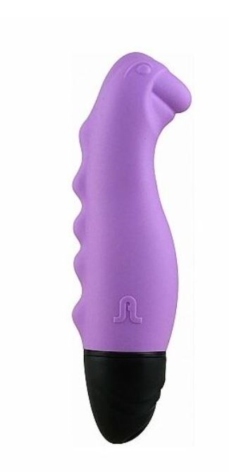 RESTSALG Adrien Dino 